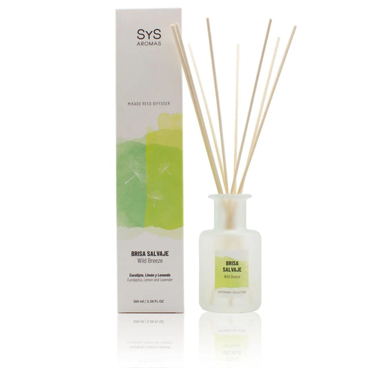 Experience - mikado ambientador 100ML - brisa salvage