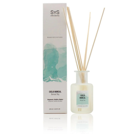 Experience - mikado ambientador 100ML - cielo boreal